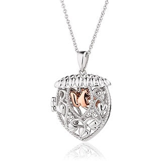 Clogau acorn hot sale necklace