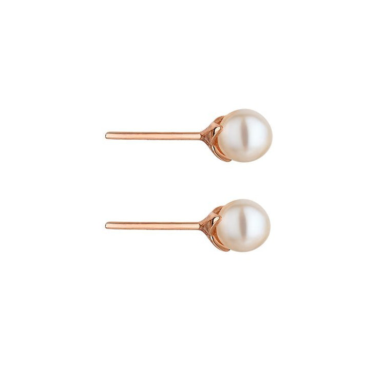 Shaun leane cherry blossom earrings hot sale