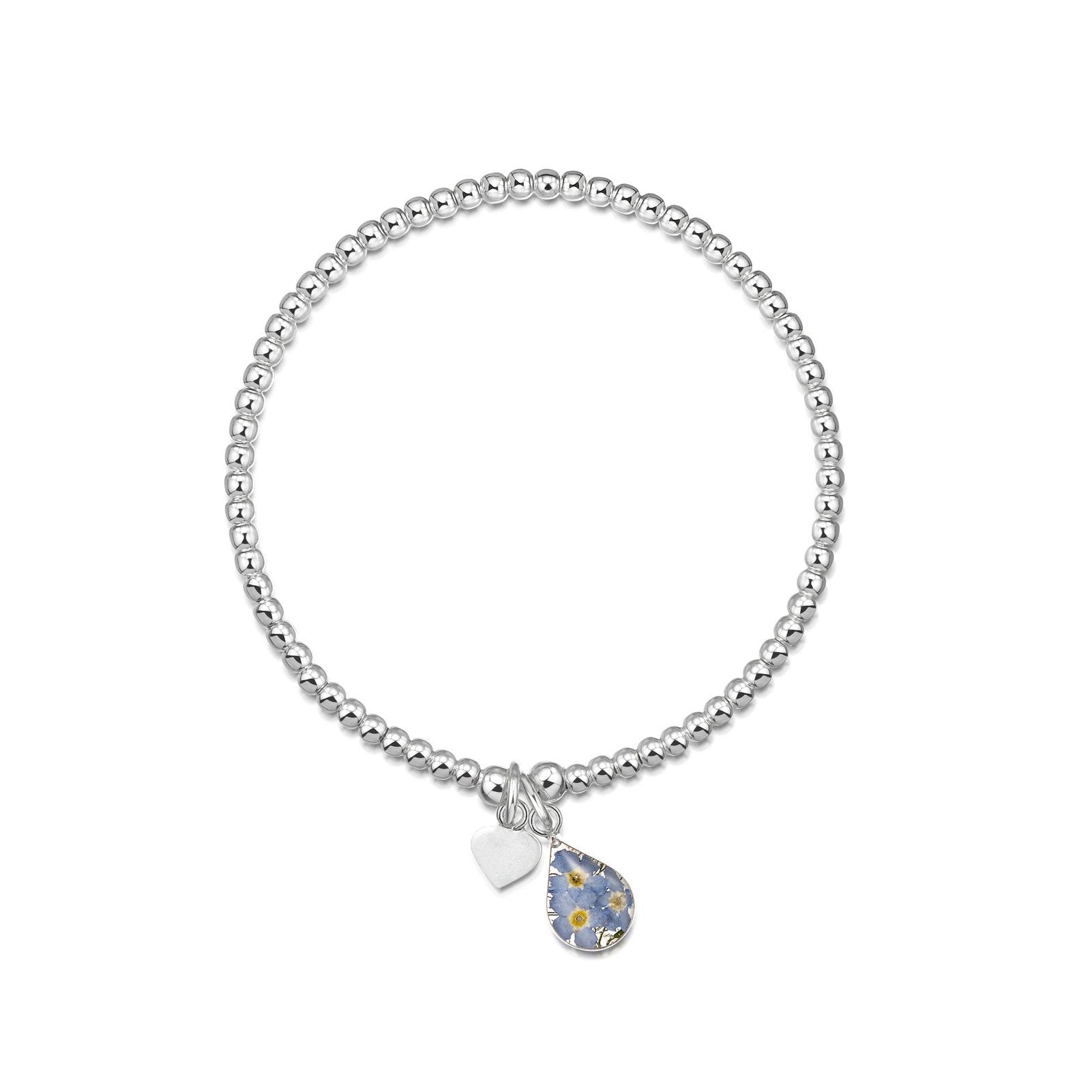 Shrieking violet forget me not shop