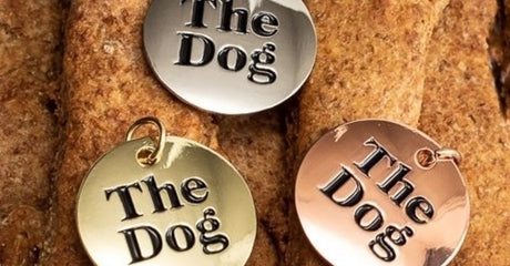 For the Love of Dogs