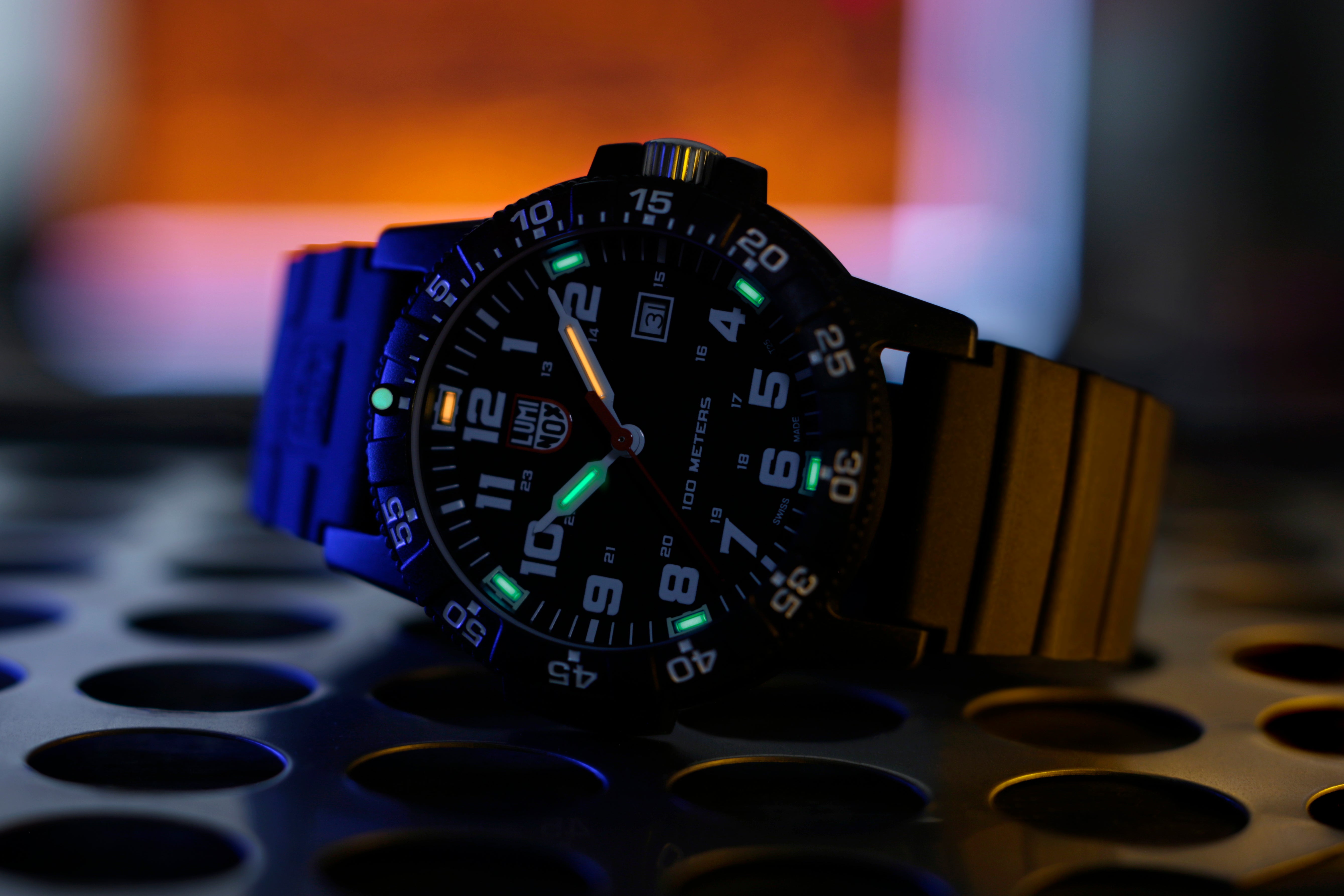 Luminox Sea Turtle Giant 0320 Series Watch C W Sellors