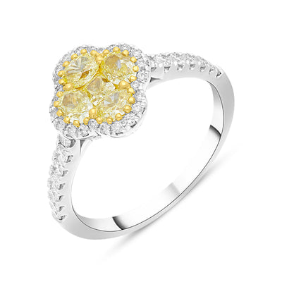 Featured Coloured Diamond Jewellery image