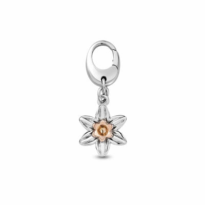 Featured Silver Jewellery Charms image