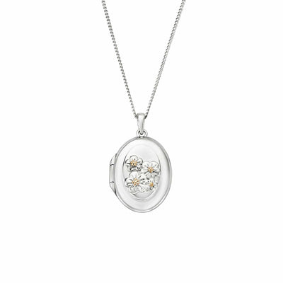 Featured Clogau Gold Lockets image