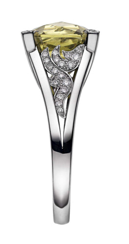 18ct White Gold Diamond 0.29ct Mali Garnet 5.35ct Angel Ring, view 4